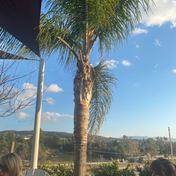 Masia de la Vinya Winery - Patio - Wineries Near Me - Temecula, California Masia de la Vinya Winery - Patio - Wineries Near Me - Temecula, California