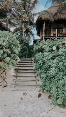 Encantada Tulum by null
