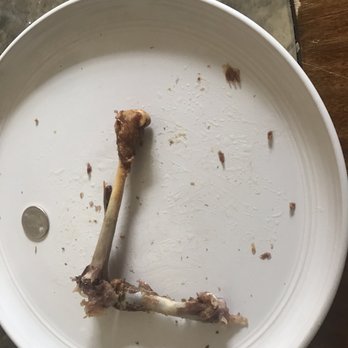 Trinity Place - Home-cooked bone with all ball joints attached. - Bars Near Me - New York, New York