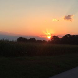 Dub's Dread Golf Club - Sunrise on the way to Dubs Dread.
