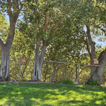 Ridgeway Post Acute - Summer 25, Back Patio - Occupational Therapy Near Me - Petaluma, California