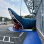 Photo of Jaws Resortwear