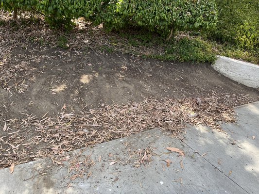 Exterior cleaning - We provide same day Interior and Exterior home cleaning. We will leave your space sparkling, Give us a call! Exterior cleaning - We provide same day Interior and Exterior home cleaning. We will leave your space sparkling, Give us a call!
