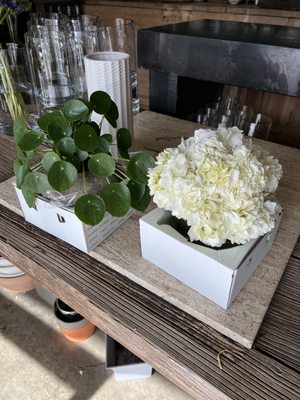 The Conservatory Florist by null