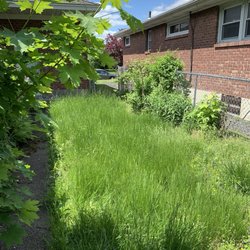 Pure Elegance:Home-Care & Maintenance - Back yard before