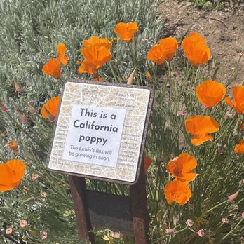 Riley's Apple Farm - Pick Your Own Farms Near Me - Yucaipa, California