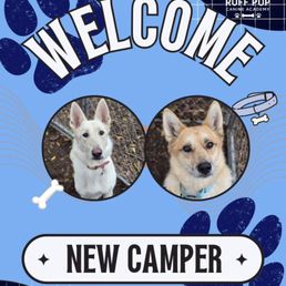 River and Ripp's New Camper photo River and Ripp's New Camper photo
