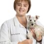 Photo of Bridge Animal Referral Center