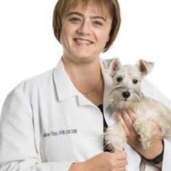 Bridge Animal Referral Center - https://axispharmacynw.com/post/vet-of-the-month-for-august-2020-is-awarded-to-dr-chelsea-tripp-of-barc/