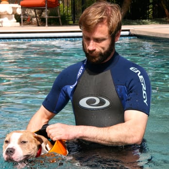 ARGOS Dog Training - Pet Training Near Me ARGOS Dog Training - Pet Training Near Me
