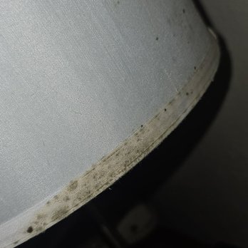Hampton Inn Carrollton - This is just some of the mold on 1 lamp. It was on the back so we did not see it until we woke up. - Hotels Near Me - Carrollton, Kentucky