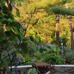Dôme - Restaurant - Terrasse Brut ô dôme - Forêt de Soignes