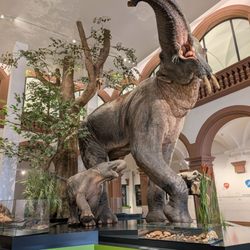 Naturhistorisches Museum