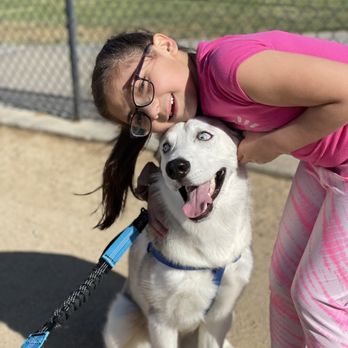 Forrest E Hull Park - Dog Parks Near Me - Lancaster, California Forrest E Hull Park - Dog Parks Near Me - Lancaster, California