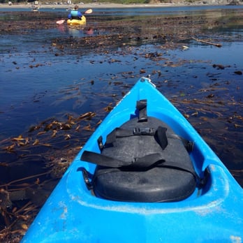 Kayak Mendocino - Tours Near Me - Little River, California Kayak Mendocino - Tours Near Me - Little River, California