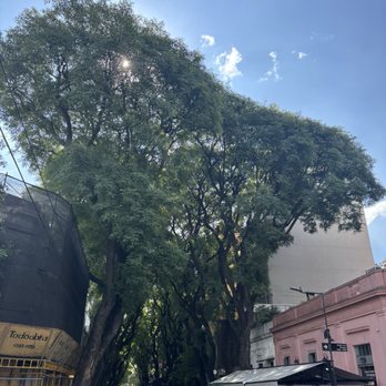 El Preferido de Palermo - Pubs Near Me - Buenos Aires, C