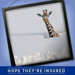 Farmers Insurance - Richard James