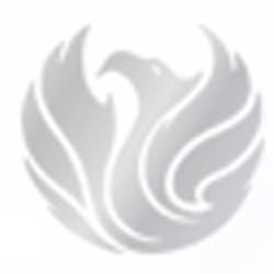 Phoenix Tax Planning