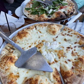 Venezia - Pizzas - Pizza Near Me - Sarasota, Florida Venezia - Pizzas - Pizza Near Me - Sarasota, Florida