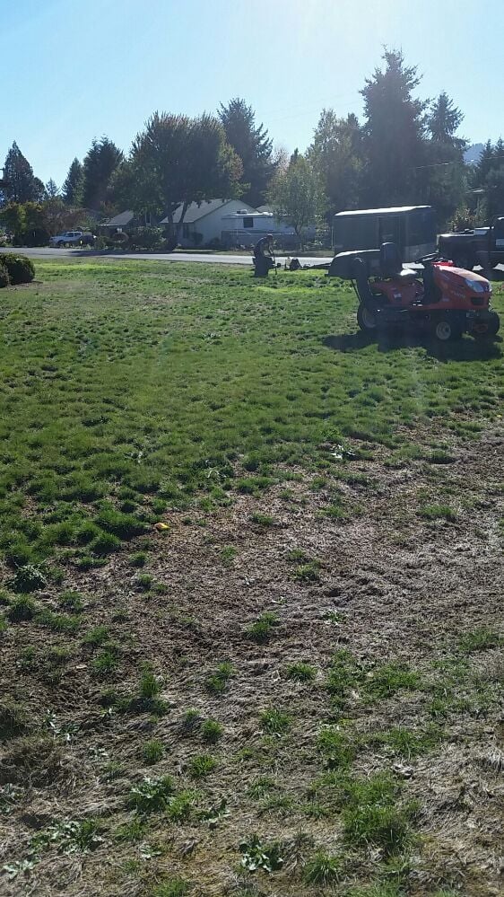 Brian Huber Lawn Maintenance - tree service in Stayton, OR