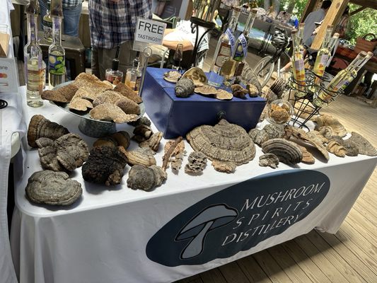 Ithaca Farmers Market by null