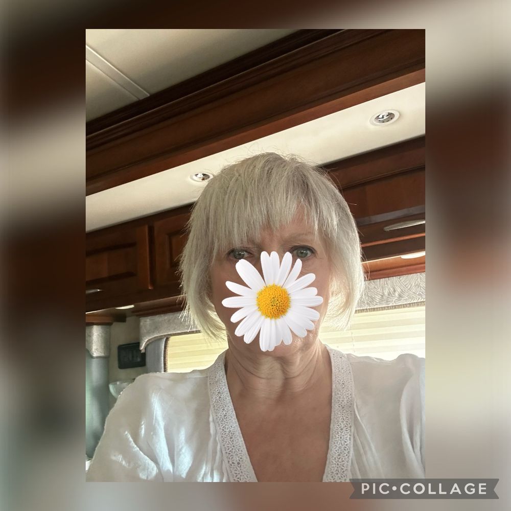 A horrible horrible haircut. What even is this? A horrible horrible haircut. What even is this?