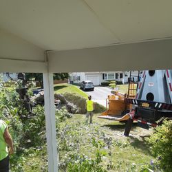 Flanagan Tree Service - Clearing storm debris away from house