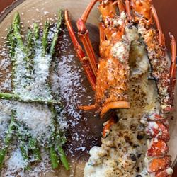 Agatha - Lobster!!!