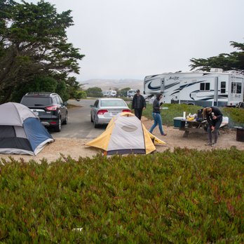 Doran Regional Park - Campsite #25. 2 tents fit but are close to one another. - Parks Near Me - Bodega Bay, California Doran Regional Park - Campsite #25. 2 tents fit but are close to one another. - Parks Near Me - Bodega Bay, California