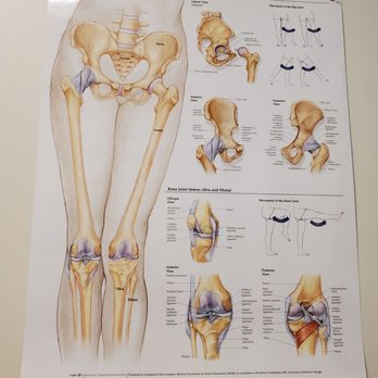 Orlando Orthopaedic Center - Orthopedists Near Me - Orlando, Florida Orlando Orthopaedic Center - Orthopedists Near Me - Orlando, Florida