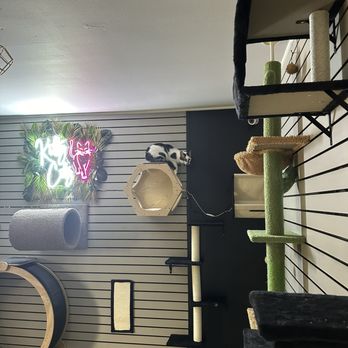 East Texas C & C - Painters Near Me East Texas C & C - Painters Near Me