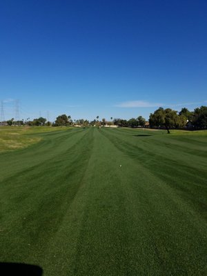 Peoria Pines Golf & Restaurant by null