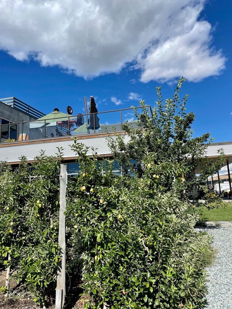 UPSIDE CIDER & FARM MARKET Updated July 2024 40 Photos & 15 Reviews