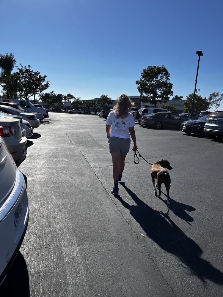 Ventura Surf And Swim