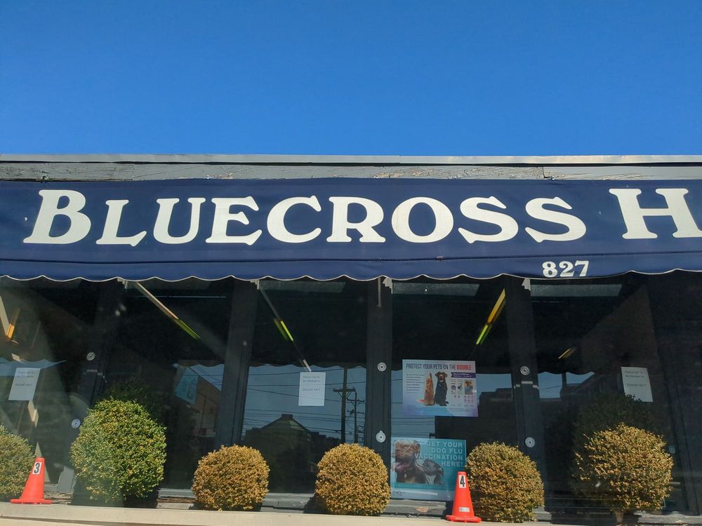 Blue Cross Animal Hospital - pet boarding facility in Louisville, KY