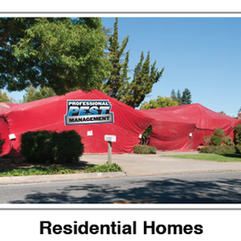 Professional Pest Management - Pest Control Near Me - Eastvale, California Professional Pest Management - Pest Control Near Me - Eastvale, California
