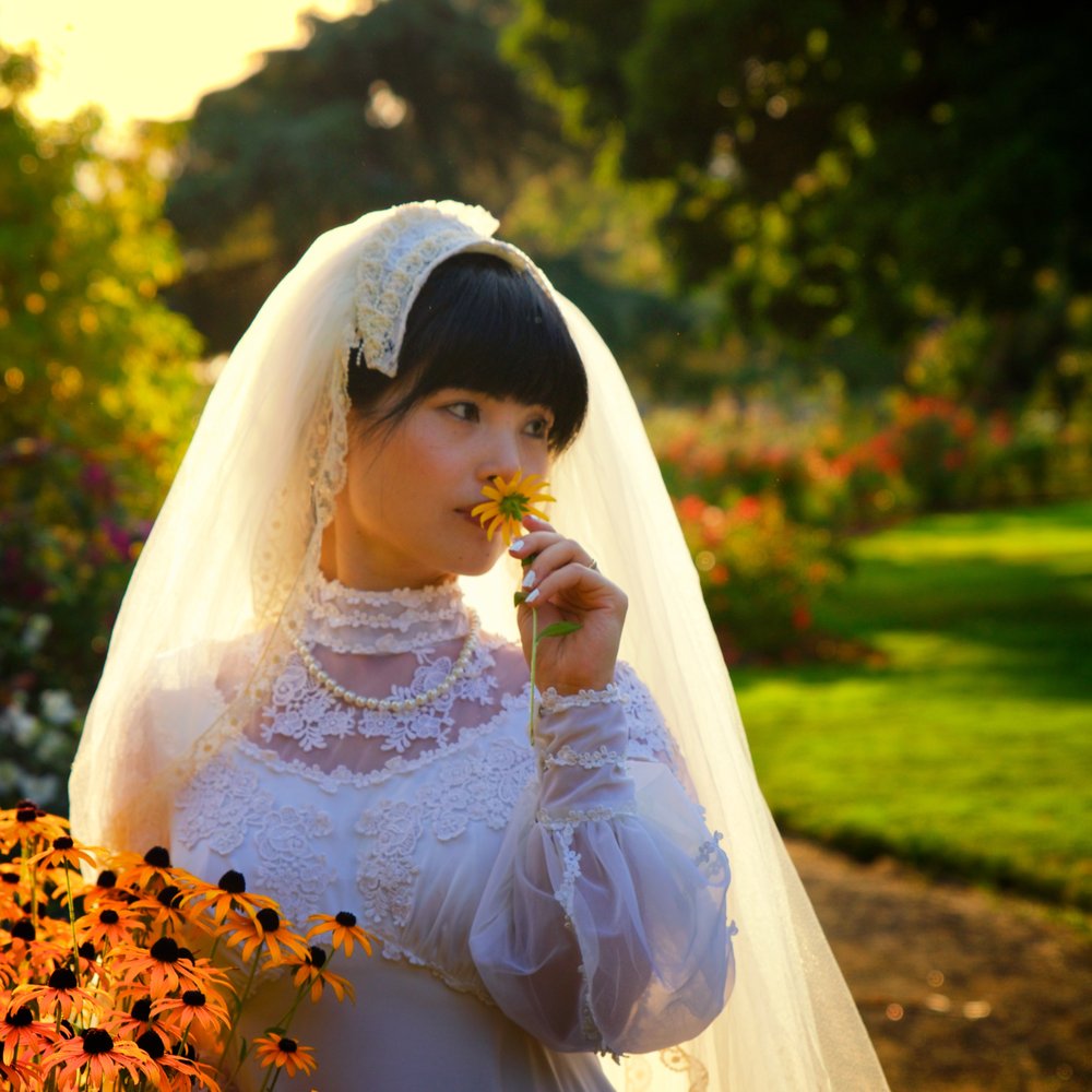 Mango Tree Photography - Photographers Near Me - Eugene, Oregon Mango Tree Photography - Photographers Near Me - Eugene, Oregon