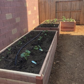 Yard to Fork - Newly installed garden beds - Landscaping Near Me - Sacramento, California Yard to Fork - Newly installed garden beds - Landscaping Near Me - Sacramento, California