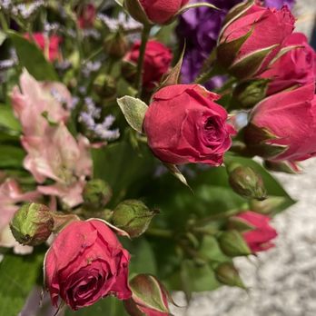 AZ Florist - Barely bloomed already dying flowers. Taken day received. Many buds haven't even opened. (A fee would be fine) - Florists Near Me - Phoenix, Arizona