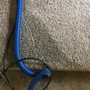 Photo of Old Town Carpet Cleaning