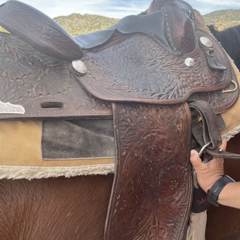 Horizon Arabians - Horseback Riding Near Me - Reno, Nevada