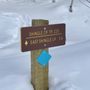 Photo of Shingle Creek Trail