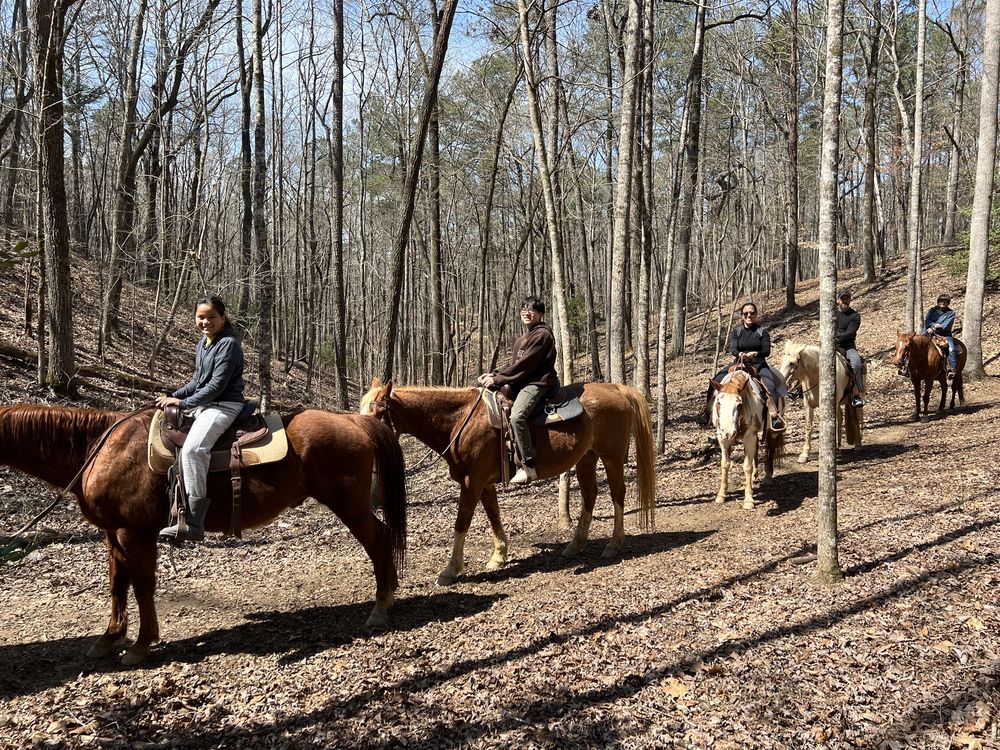 Social spots from Georgia Frontiers