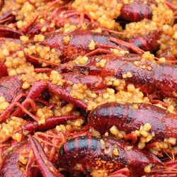 Swamp Kingz - Boiled Crawfish