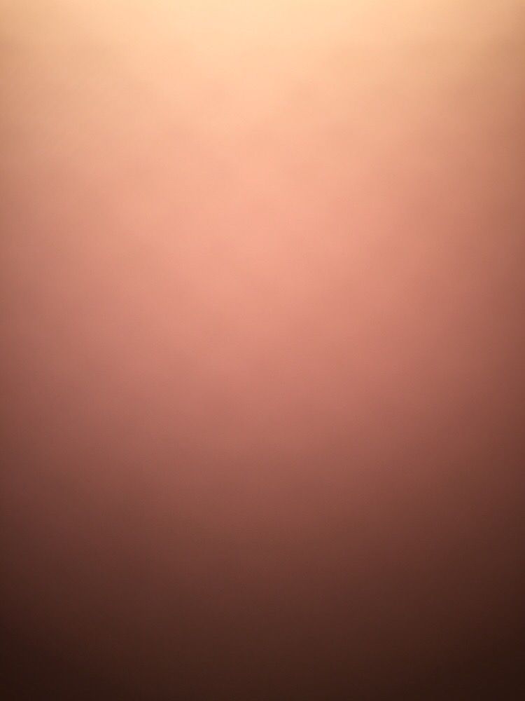 GROVER CLEVELAND TENANTS CORPORATION Updated October 2024 6738