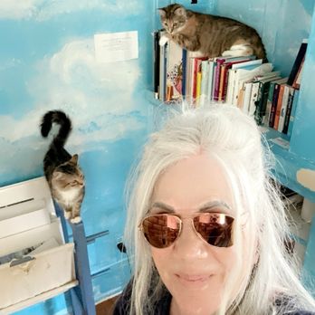 Give Purrs a Chance - Pet Adoption Near Me - Berkeley Springs, West Virginia Give Purrs a Chance - Pet Adoption Near Me - Berkeley Springs, West Virginia