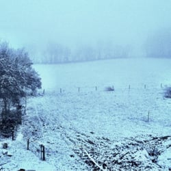 Hotel Birkenhof - Winter!