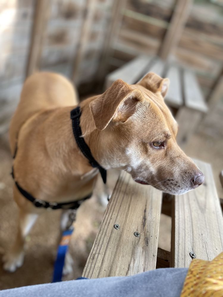 Social spots from South Texas Botanical Gardens & Nature Center