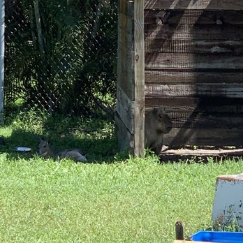 Wellington Conservation Center - Petting Zoos Near Me - Wellington, Florida