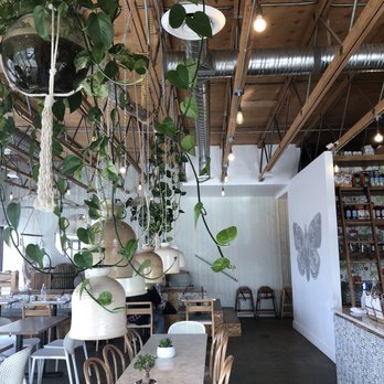 The Moth Cafe - Vegan Near Me - Edmonton, Alberta The Moth Cafe - Vegan Near Me - Edmonton, Alberta